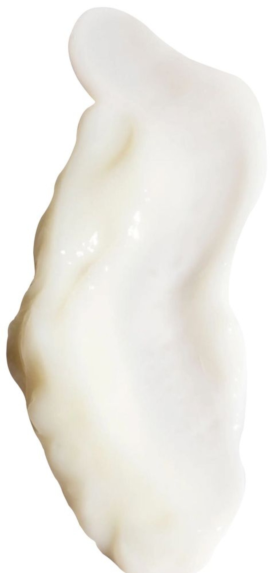Hair Ouai Conditioner | Leave In Conditioner