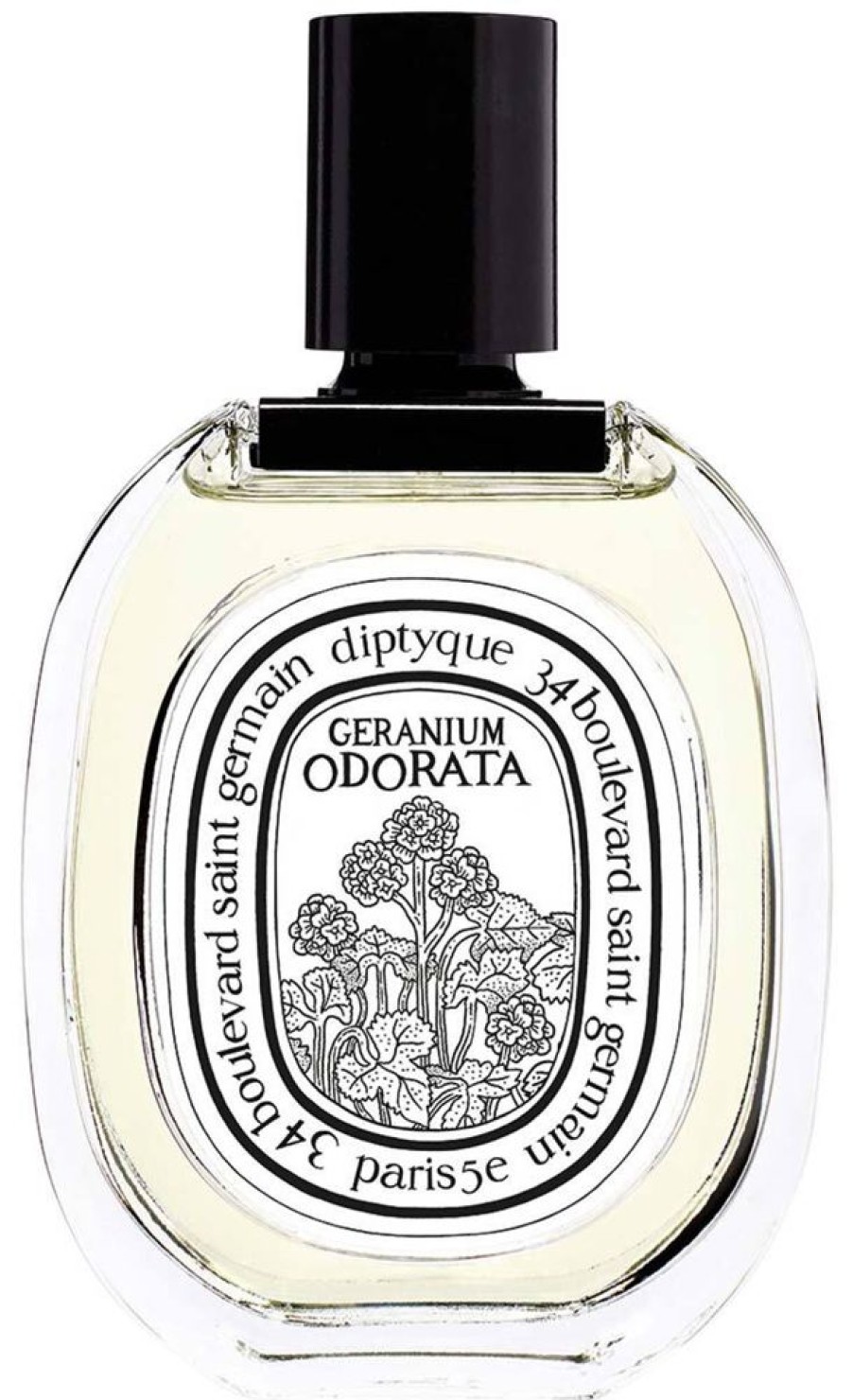 Perfume Diptyque Perfume Women | Geranium Odorata