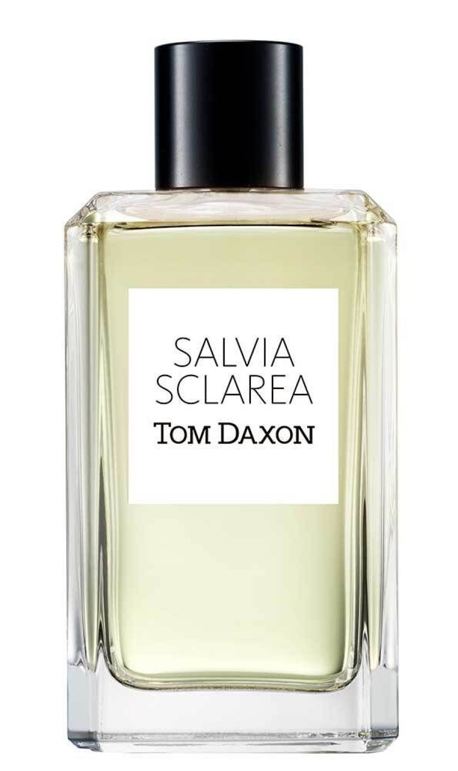 Perfume Tom Daxon Perfume Women | Salvia Sclarea
